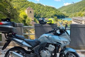 Honda CBF 600 S