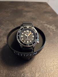 Citizen Promaster Eco-Drive