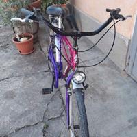 bicicletta donna 