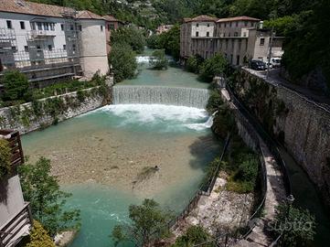 Stanza a due passi dall'università