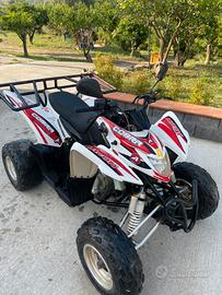 Quad Aeon Cobra 400