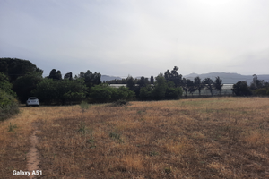 Azienda Agricola Capoterra