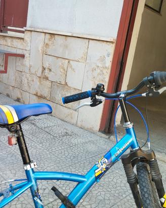 bici bimbo da 20 pollici 
