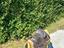 Immagine 4
