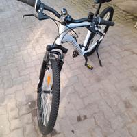 Bicicletta mointain bike
