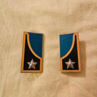 Mostrine esercito Italiano Artiglieria Corazzata