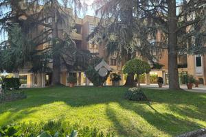 5 LOCALI A LUCCA