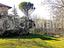 Immagine 28