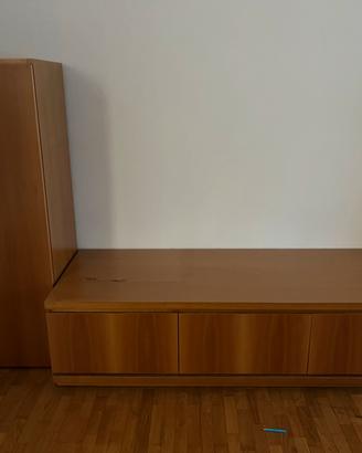 Mobile porta tv