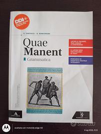 Quae Manent grammatica 