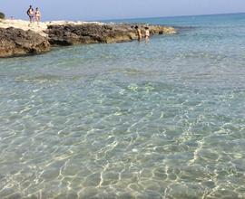 Ostuni - agosto 2024