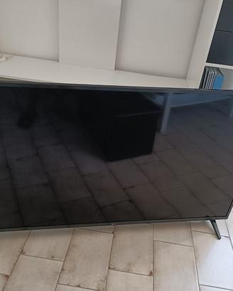 TV LG 55" + LAVATRICE CANDY 9 KG
