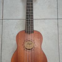 Ukulele Flight