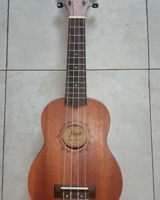 Ukulele Flight
