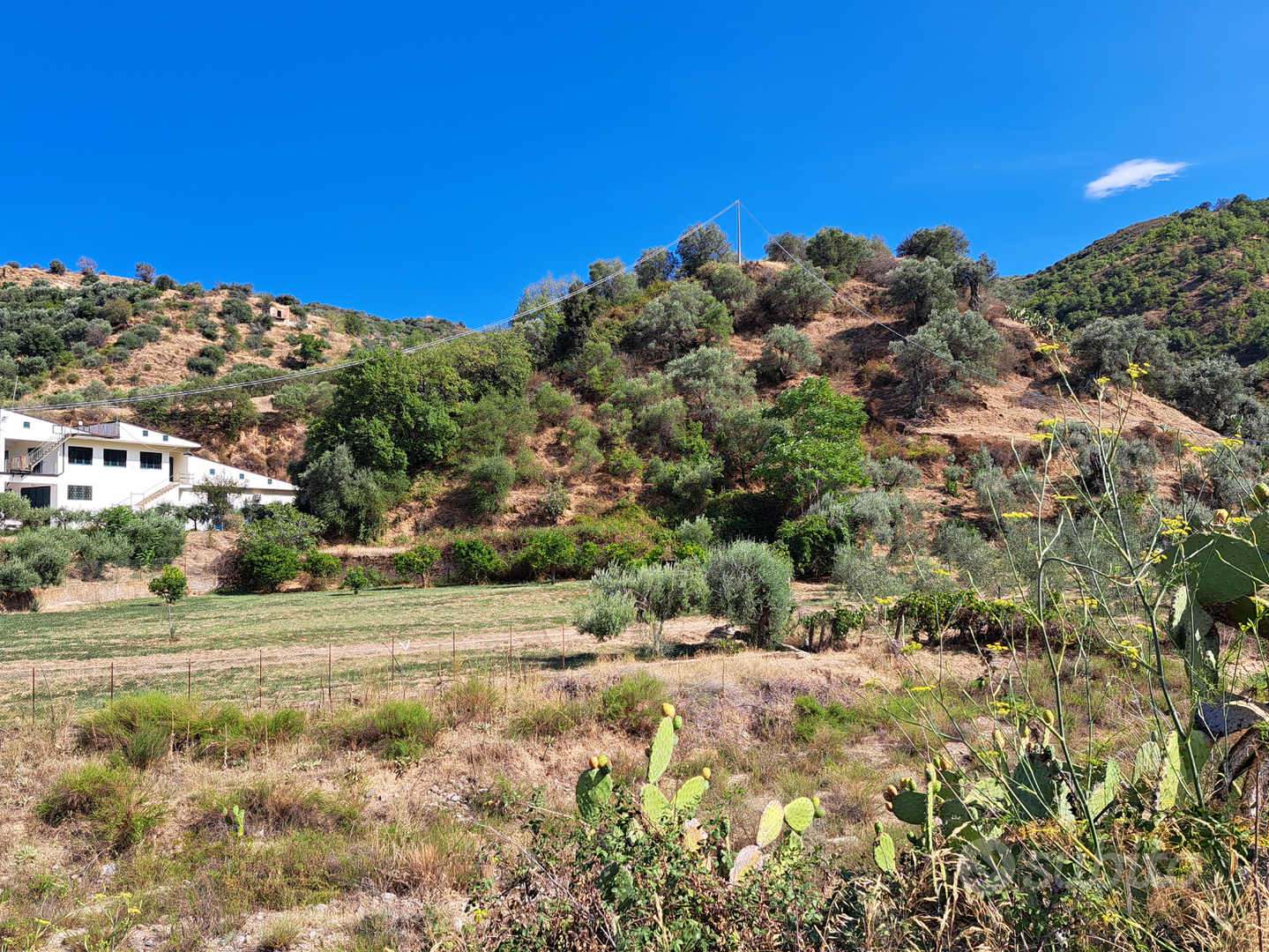 Terreno agricolo - Vista 3