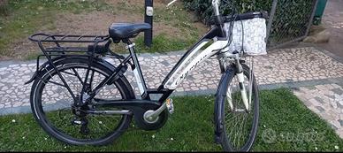 Bici elettrica assistita