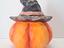Immagine 2
