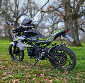 Kawasaki z 125