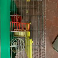 Gabbia per piccoli roditori