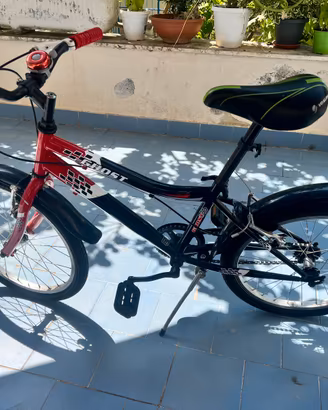 Bicicletta ragazzo