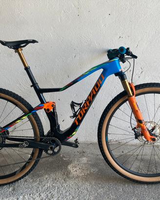 Mountain bike