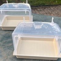 Bagnetto per pappagalli