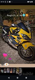 CBR 600f