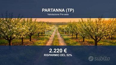 Immobile in asta di 4695 m² a Partanna