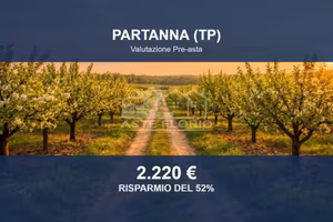 Immobile in asta di 4695 m² a Partanna