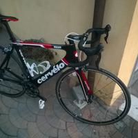 Cervello s2