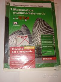 matematica multimediale verde 1