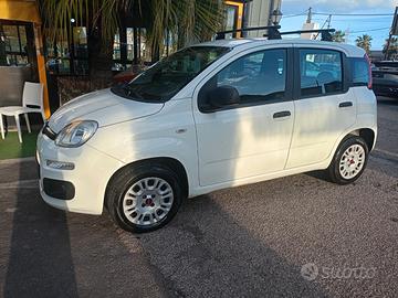 Fiat panda 1.2 benzina