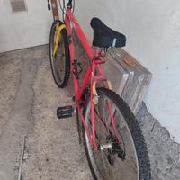 Bicicletta ruota 26 con accessori e abbigliamento 