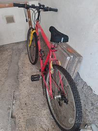 Bicicletta ruota 26 con accessori e abbigliamento 