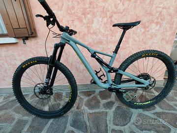 Specialized Stumpjumper 29"