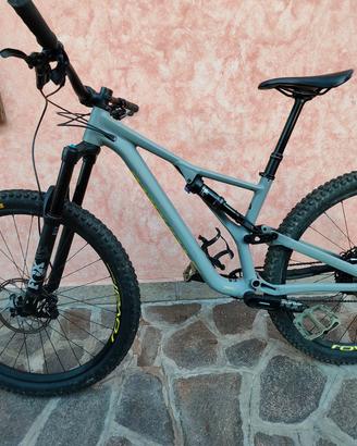 Specialized Stumpjumper 29"