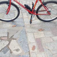 2 Bici - mountain bike  da uomo