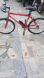 2 Bici - mountain bike  da uomo