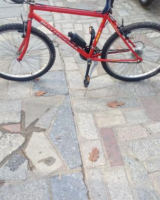 2 Bici - mountain bike  da uomo
