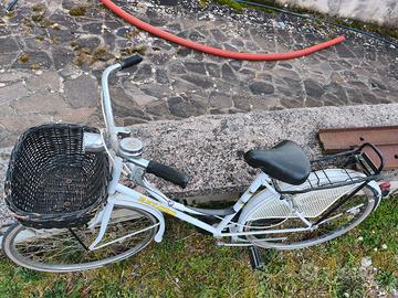 Bicicletta da passeggio con cestello
