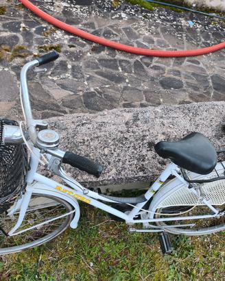 Bicicletta da passeggio con cestello