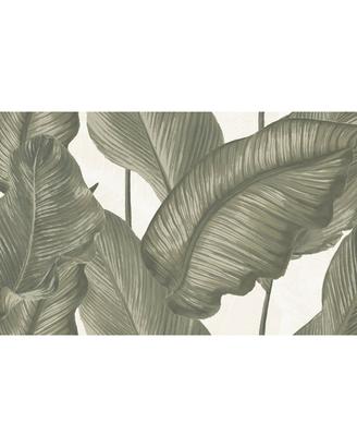 PIASTRELLE RONDINE 60x120 - NATURALE RETTIFICATO