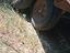 Immagine 4