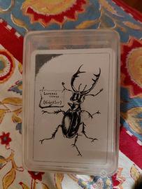 Carte Gioco Arte Trasformazione Raro da Collezione
