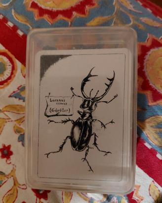 Carte Gioco Arte Trasformazione Raro da Collezione
