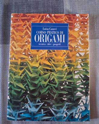 Corso pratico di origami Luisa Canovi