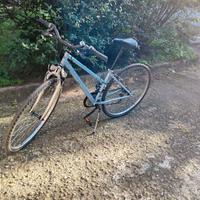 Bicicletta mountain bike