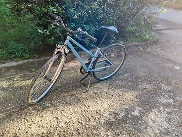 Bicicletta mountain bike