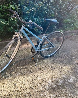 Bicicletta mountain bike