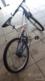bici mountain bike